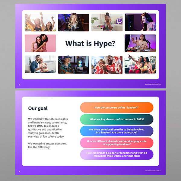 Anatomy Of Hype - image 5a
